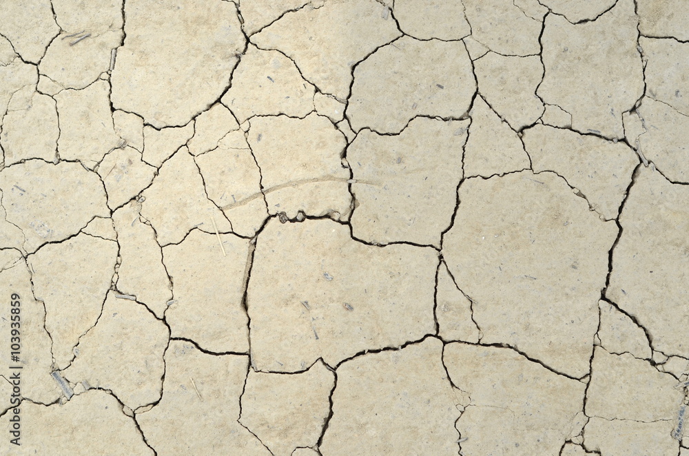 Crack Dry Soil Ground Crack Dry Soil Ground
