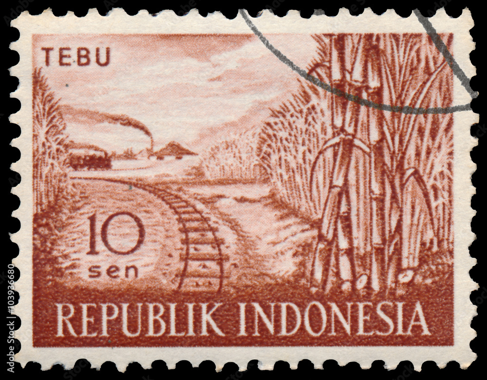 Stamp printed in Indonesia shows sugar cane