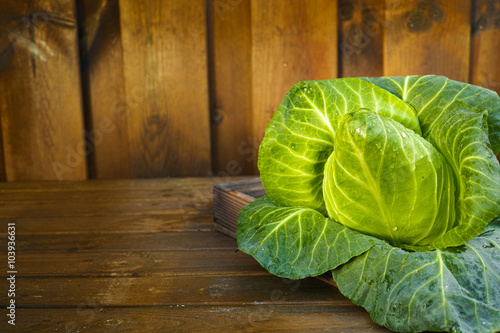 Fotografia Single head of fresh green pointed sweetheart cabbage
