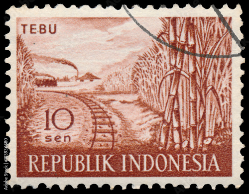 Obraz na płótnie Stamp printed in Indonesia shows sugar cane w salonie