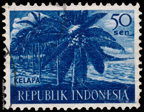 Obraz na płótnie Stamp printed in Indonesia shows Coco palm w salonie