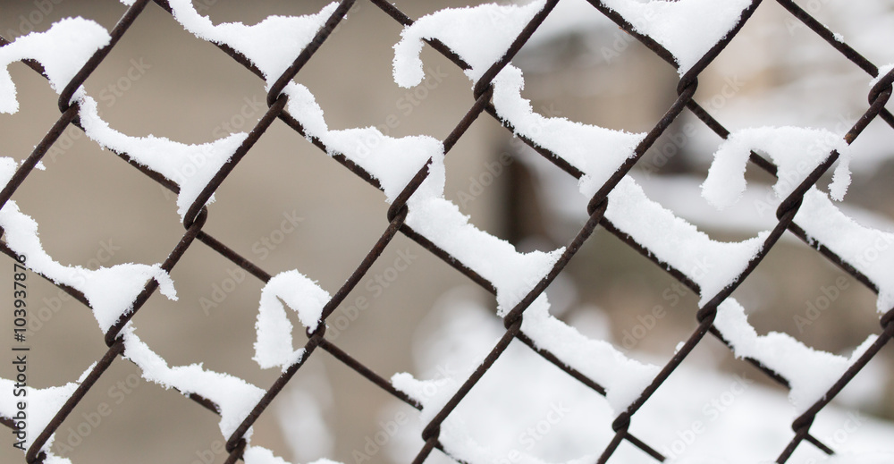 Fototapeta premium Snow on fence in winter