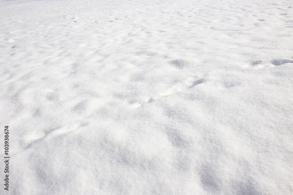White background of snow on the nature White background of snow on the nature