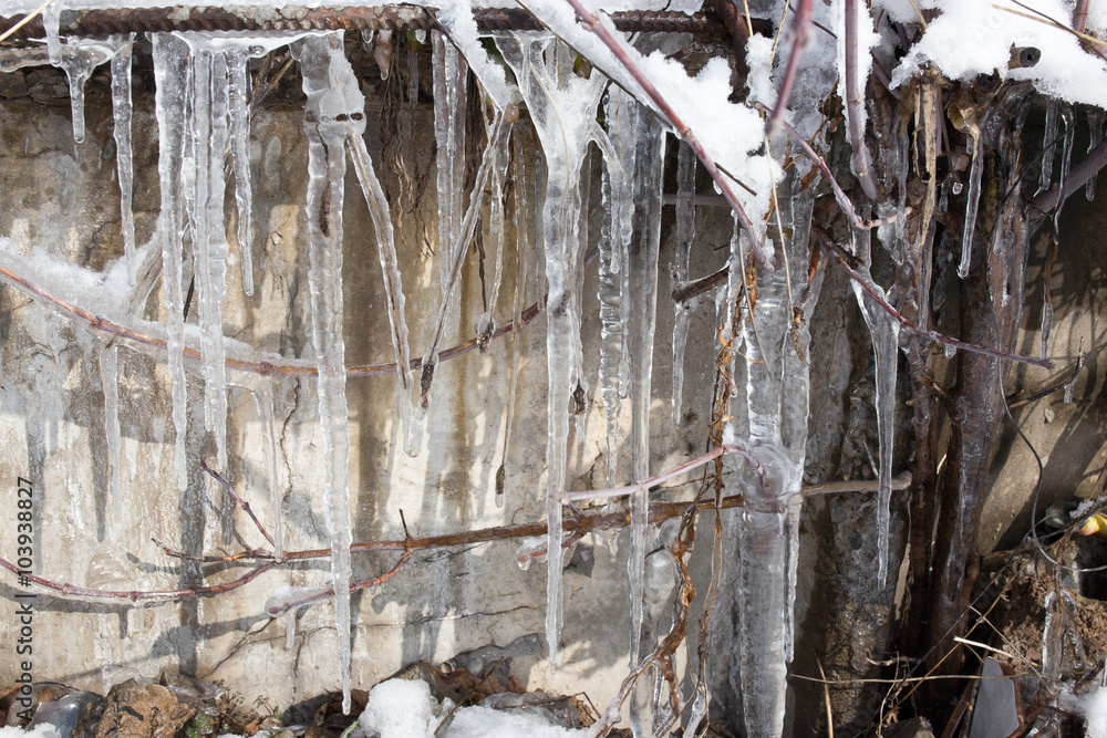 Large icicles hanging on the roof of the house in springtime Large icicles hanging on the roof of the house in springtime