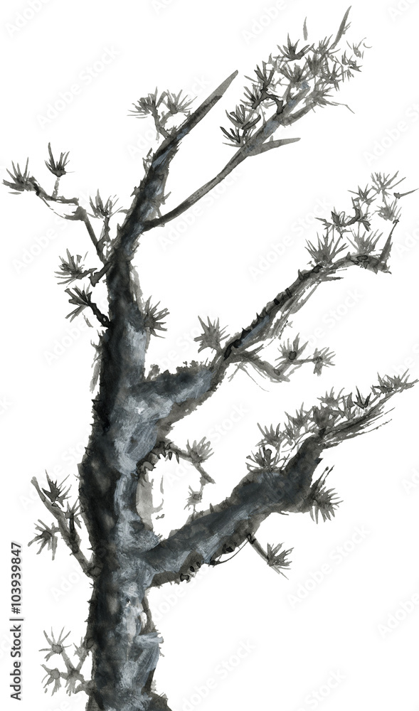 Obraz premium Pine branch isolated on a white background. Ink drawing in the Chinese style.