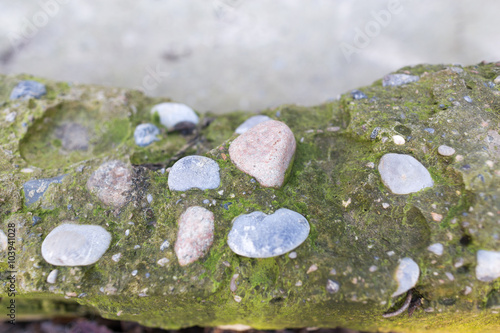 Moss on concrete with stones