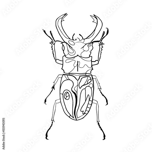 Hand drawn insect vector scribble icon illustration . © tasamaya