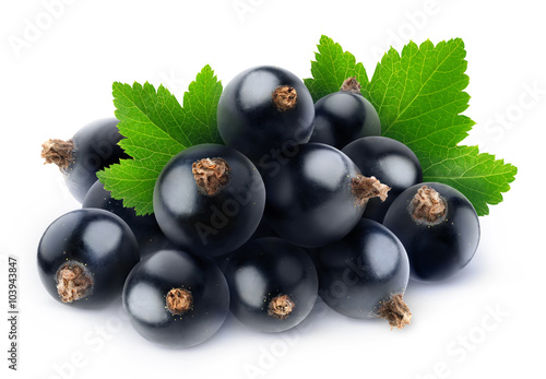 Isolated pile of black currants photo
