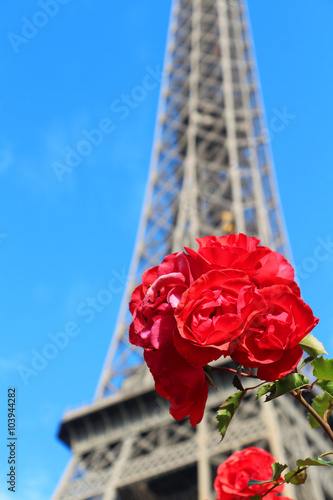 Bouquet de roses devant la Tour Eiffel