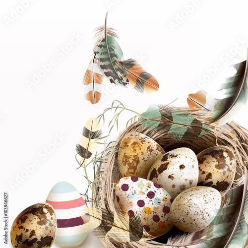 Vector illustration with Easter eggs bird nest feathers in vinta