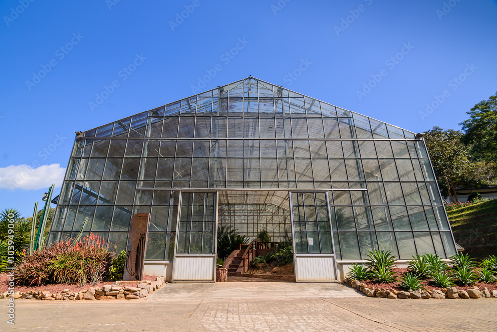 Green house , young plants growing in a very large plant nursery