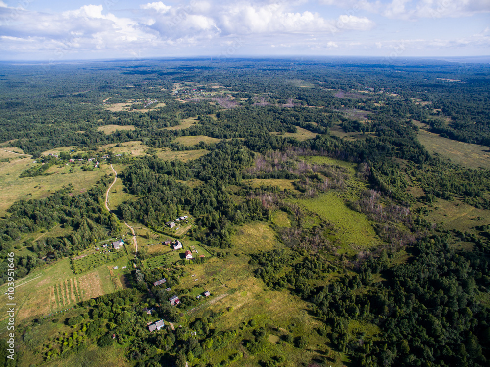 Aerial forest view