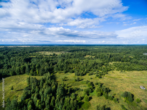 Aerial forest view