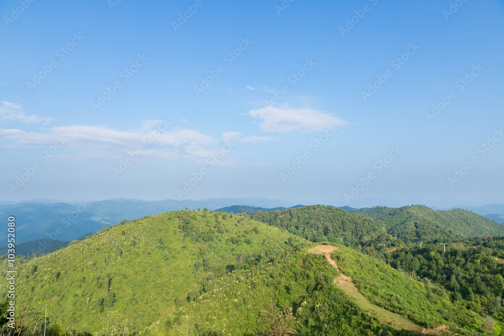 Sky, forest and mountains. Sky, forest and mountains.