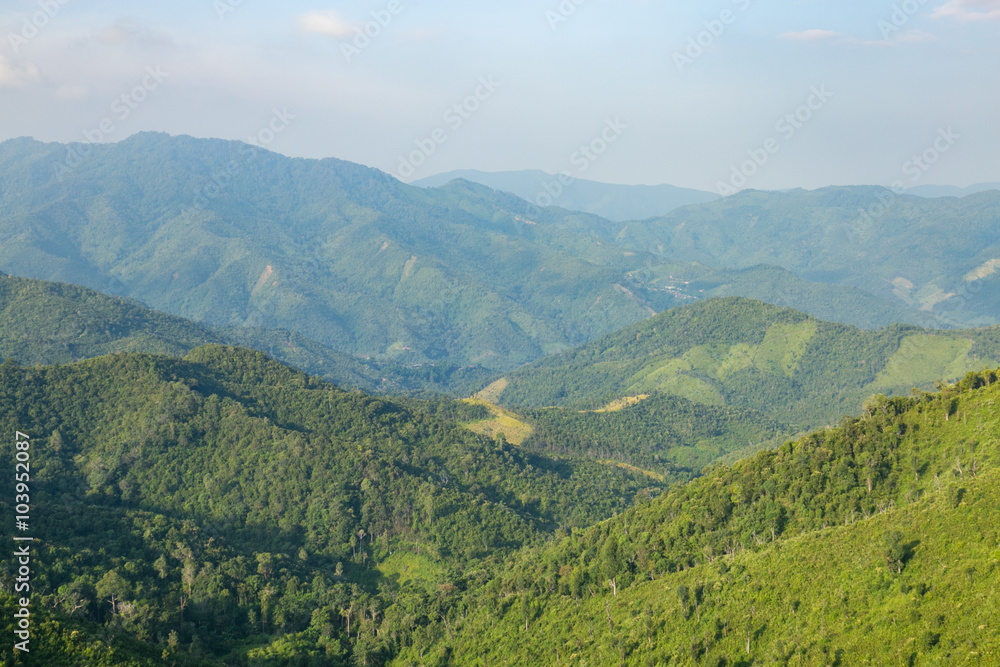 Sky, forest and mountains.