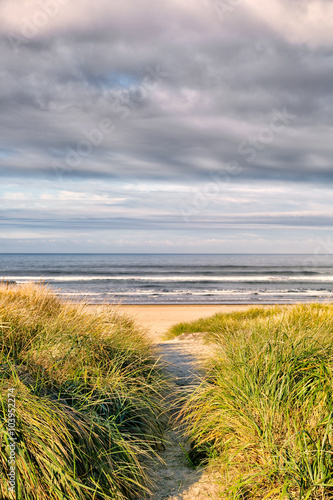 Fototapeta Naklejka Na Ścianę i Meble -  Path to the beach through grassy sand dunes