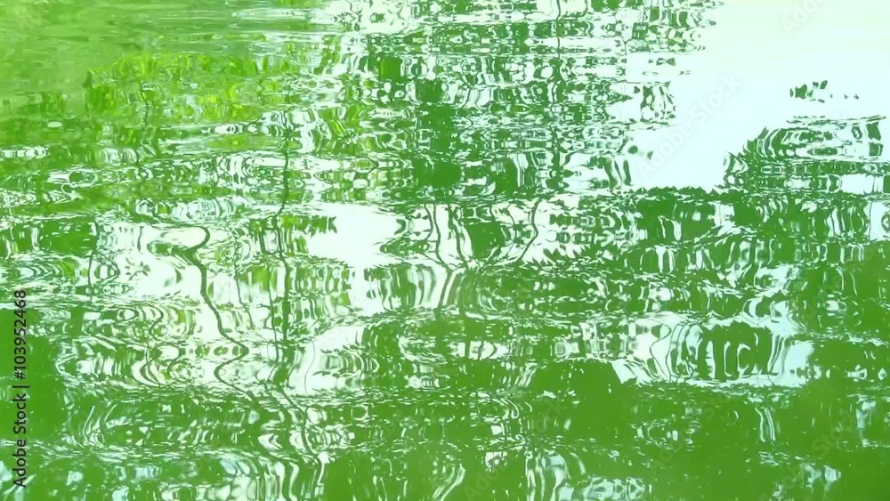 池の水面に写る新緑 池の水面に写る新緑