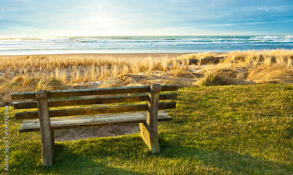 Bench with view of ocean, sand dunes and sea grass