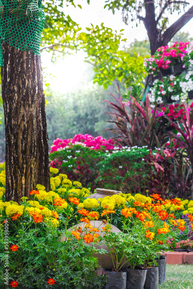 Naklejka premium Flowers in the garden./ Landscaped flower garden with lots of colorful blooms with sun flare.