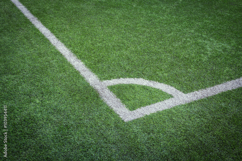 Green Grass Texture in Soccer Field Green Grass Texture in Soccer Field