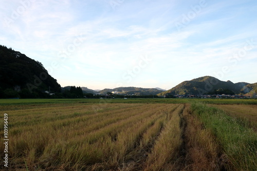 田舎の風景