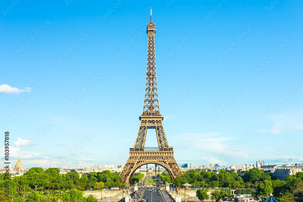 Fototapeta premium Summer in Paris and the Eiffel tower