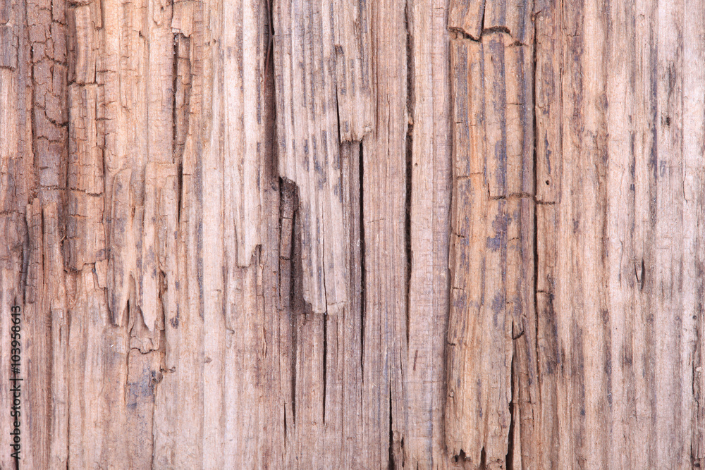 background of old grunge wooden surface macro