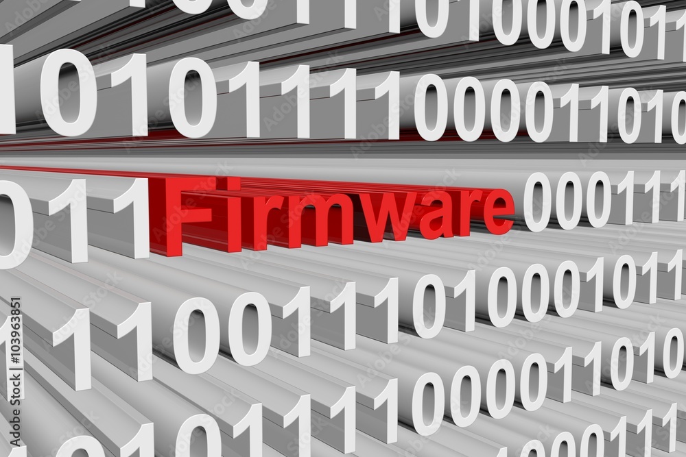Firmware presented in the form of binary code