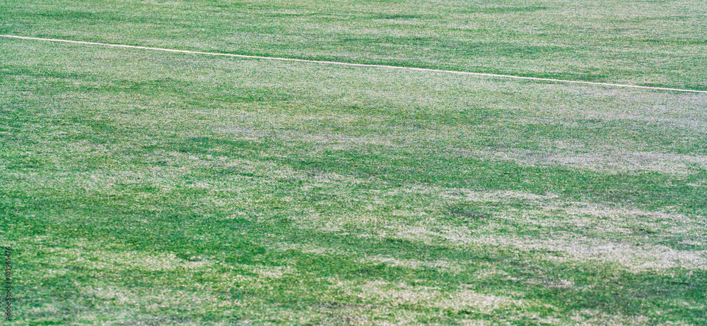Obraz premium サッカーグラウンド