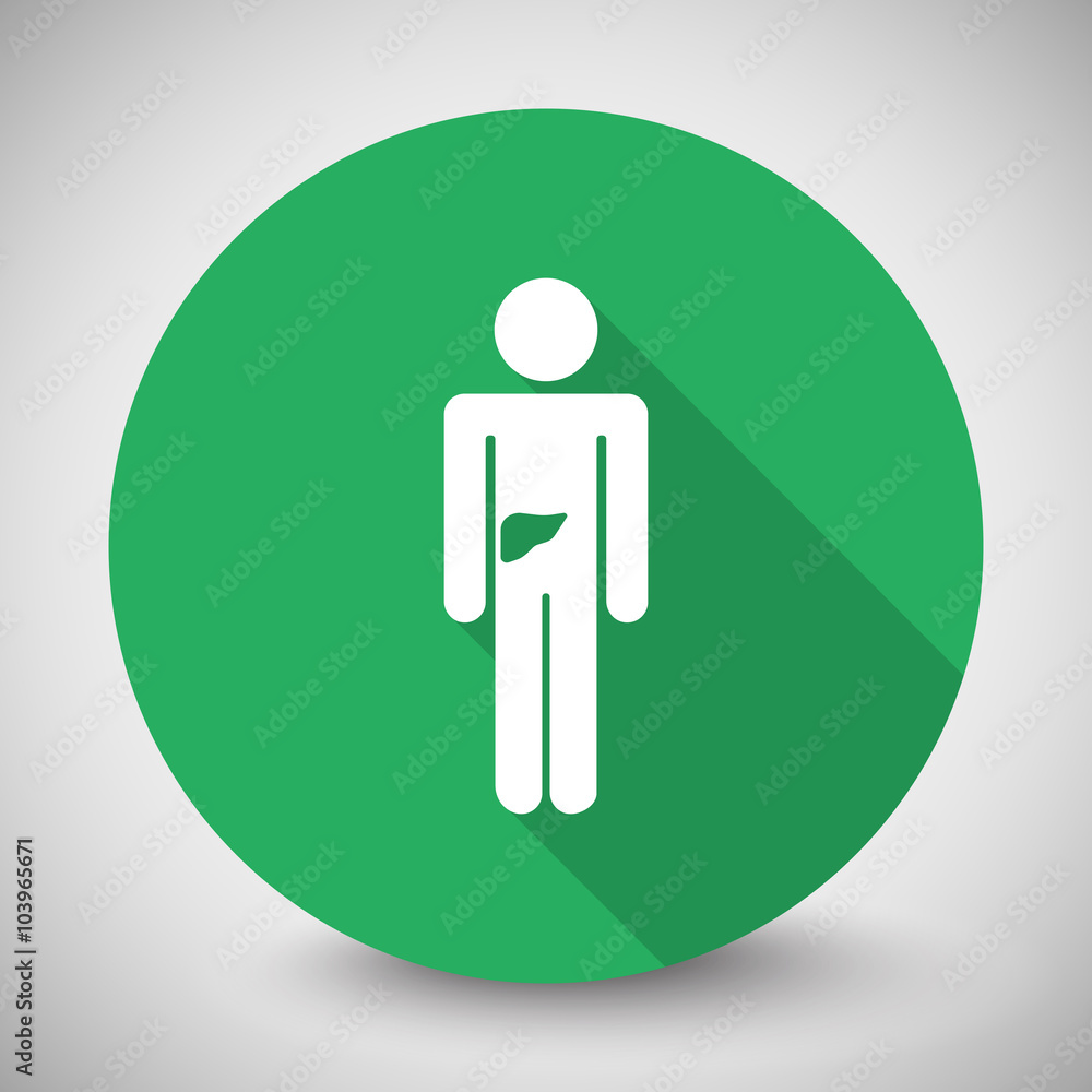 White Liver icon with long shadow on green circle White Liver icon with long shadow on green circle