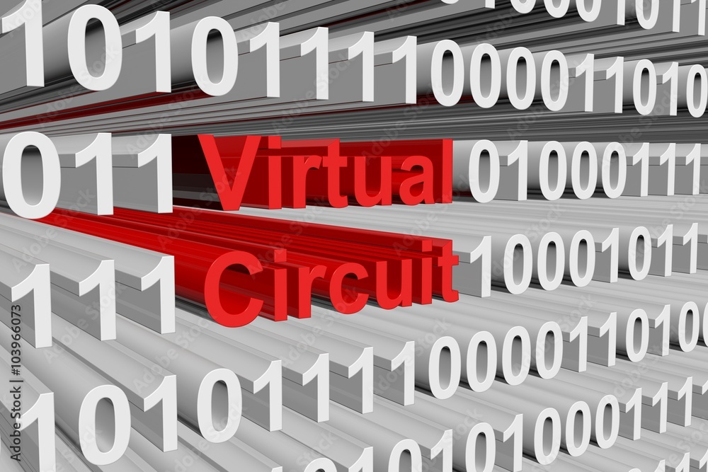virtual circuit represented as a binary code