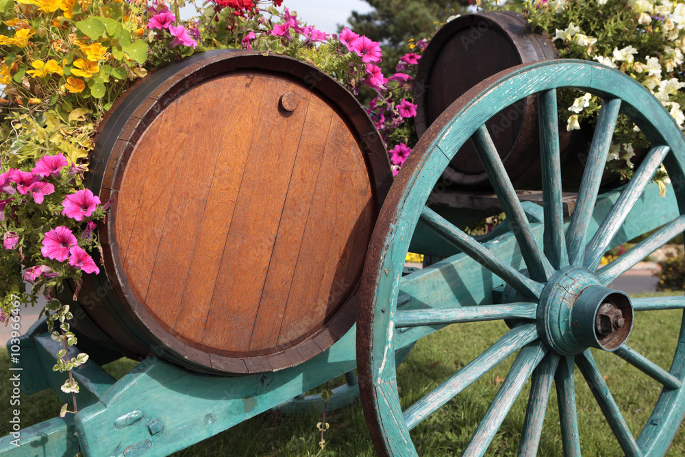 France beaujolais burgundy wood red wine barrel with cart wagon and flower display in floral vineyard village at grape harvest time photo