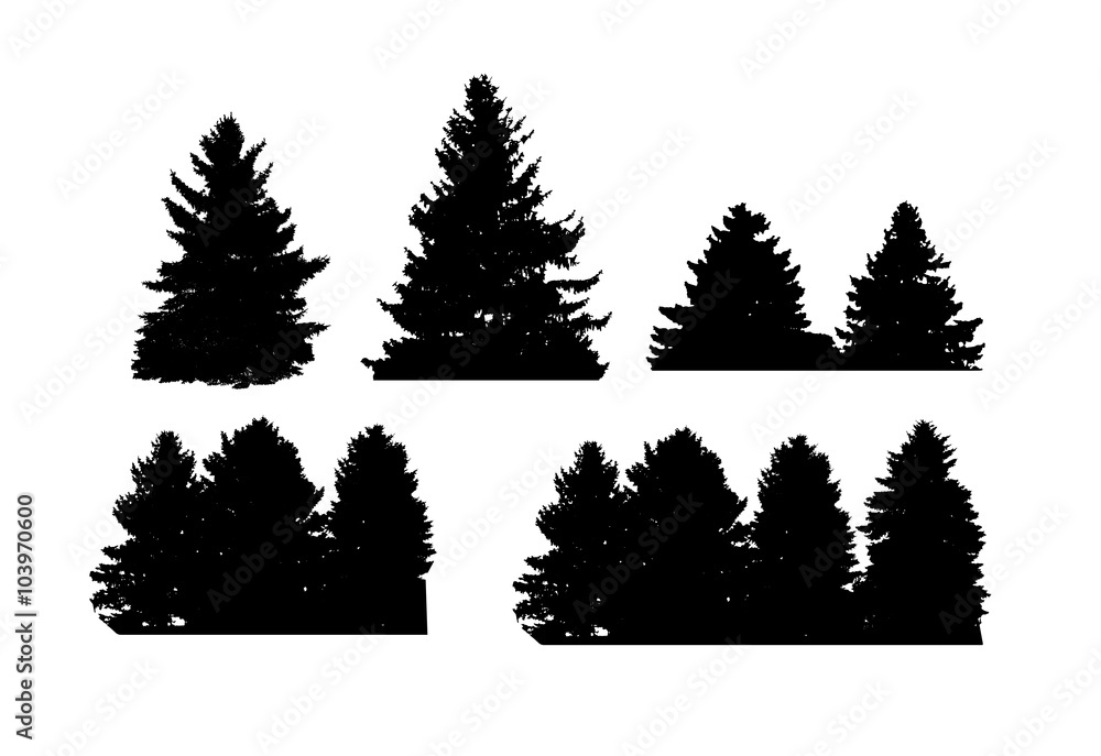 Obraz premium Image of Nature. Tree Silhouette. Vector Illustration