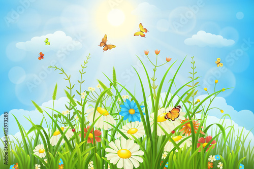 Summer or spring meadow landscape with flowers, grass and butterflies