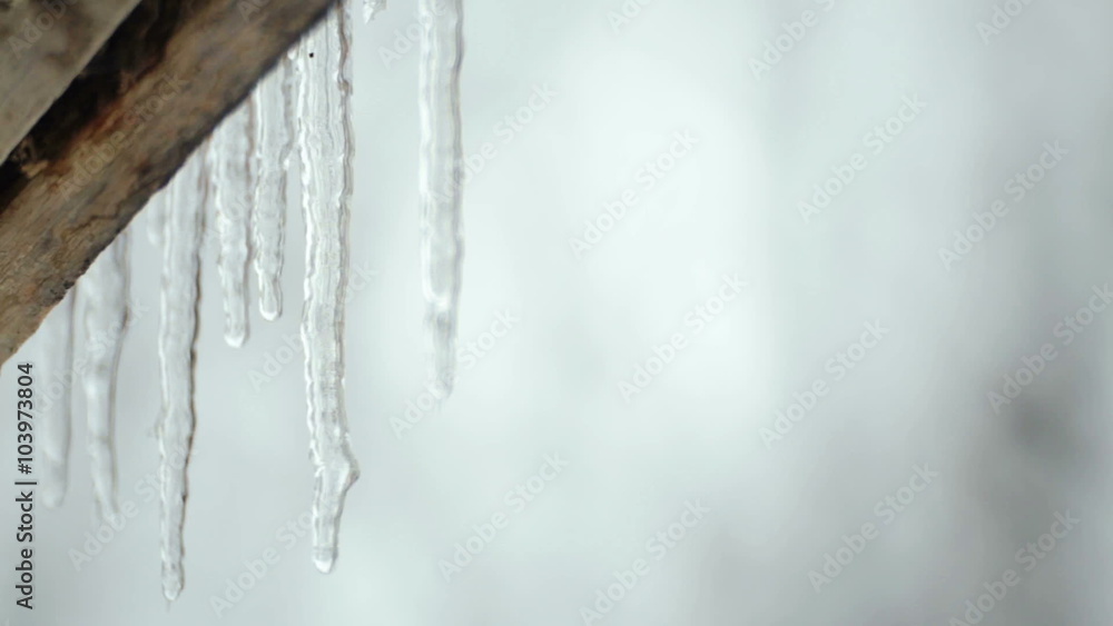 Melting icicles in the spring under the roof. Spring melting of ice.
Melting icicles in the spring under the roof. Spring melting of ice.