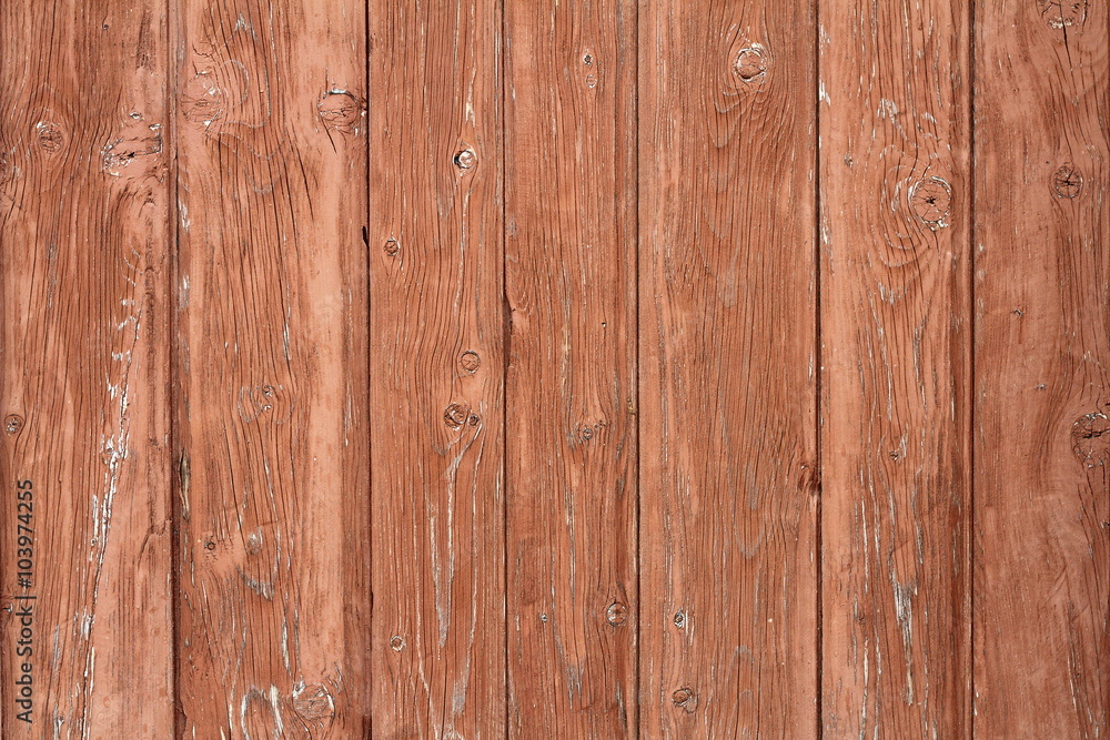 Fototapeta premium beige painted spruce planks texture
