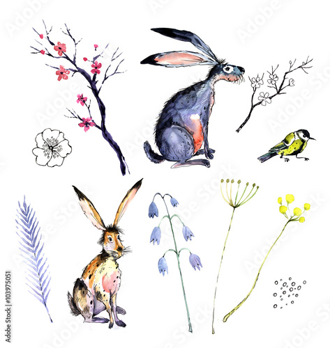 Easter, rabbit, flowers, watercolor