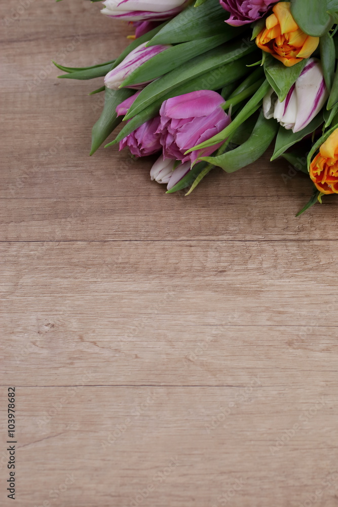 Tulipany Tulipany