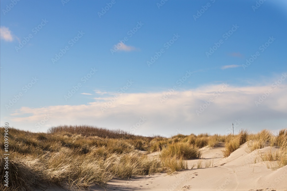 Domburg , Meer / Strand Domburg , Meer / Strand