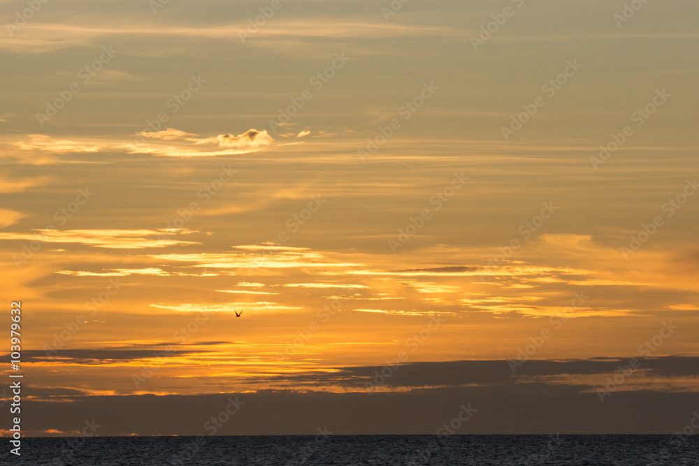 Sky with clouds at sunset with small lone bird in silhouette