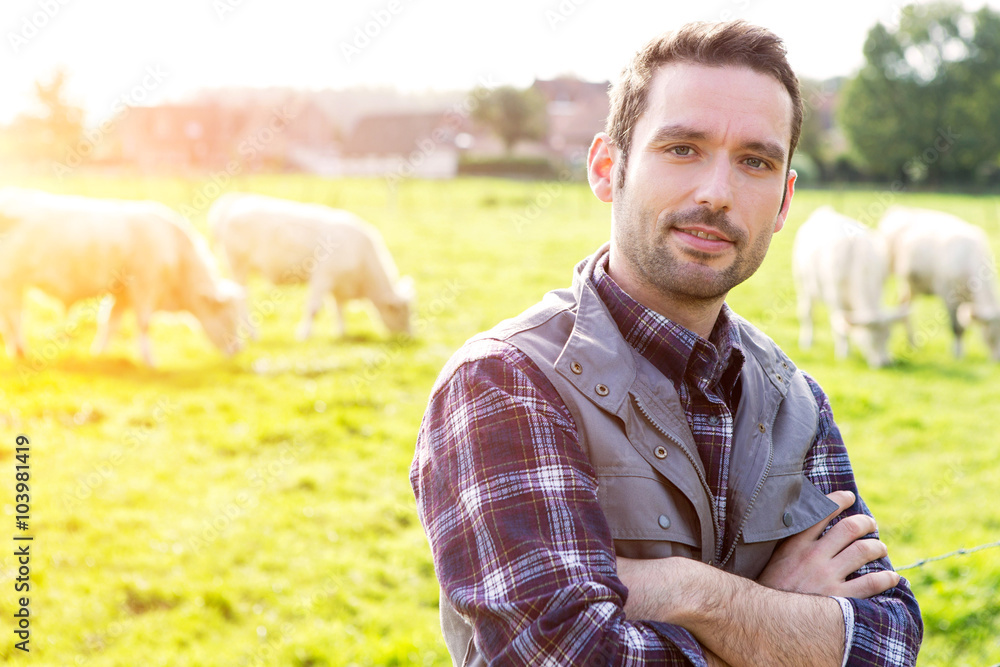 Young attractive farmer in a field with cows Young attractive farmer in a field with cows