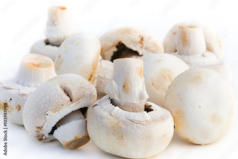 Fototapeta premium Champignons