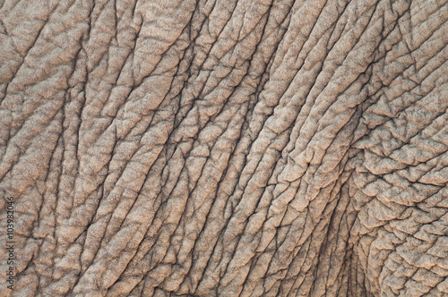 Abstract elephant skin texture background