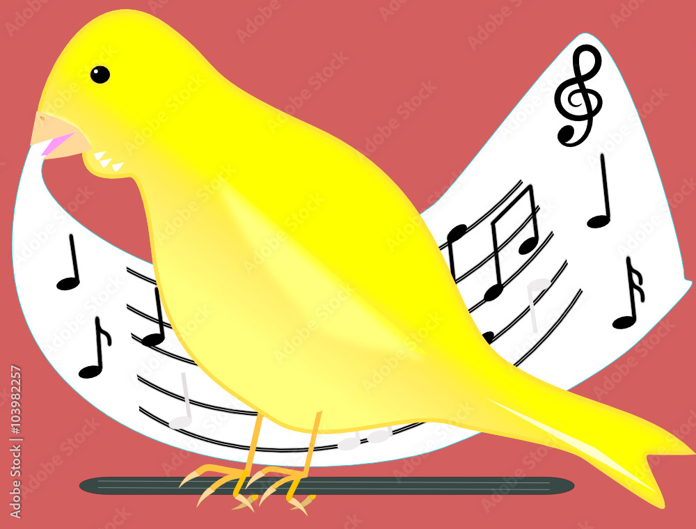Canario cantor Canario cantor