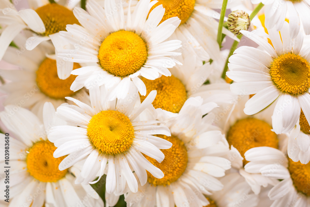 Obraz premium beautiful bouquet of chamomile on vintage wooden table