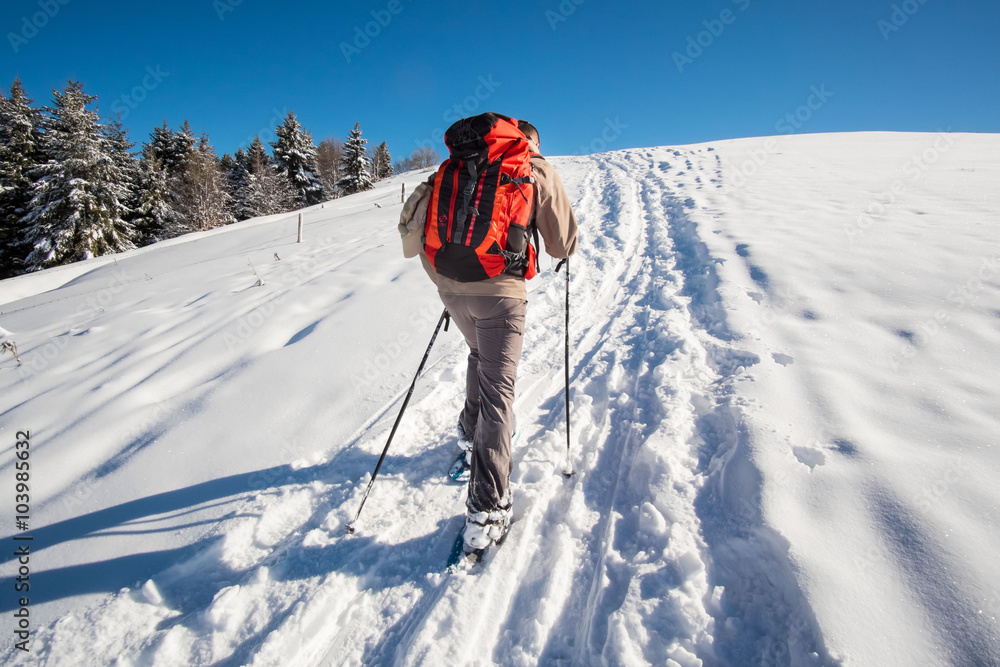 trekking in the mountains with snow
