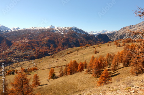 Boschi in autunno Alpi Sestriere Valle Argentera e Val di Susa