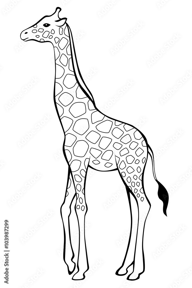 Giraffe black white isolated illustration vector Giraffe black white isolated illustration vector