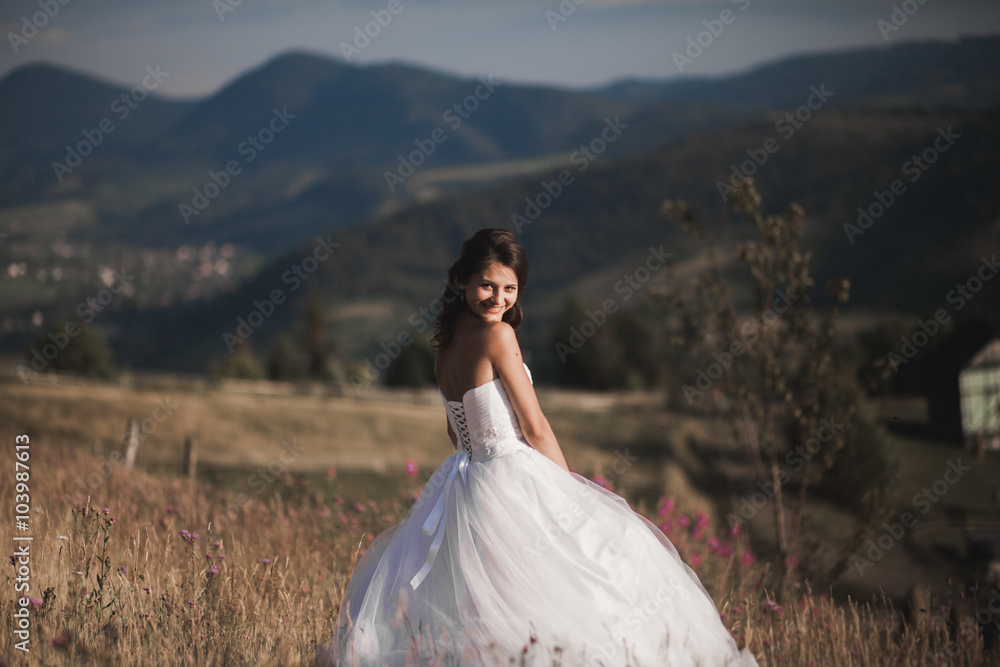 Gorgeous bride in elegant dress posing at sunny summer day on a background of mountains