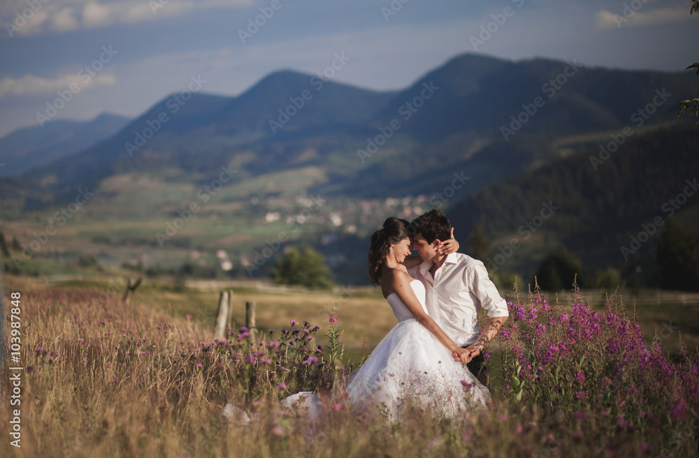 Romantic fairytale couple newlyweds kissing and embracing on a background of mountains Romantic fairytale couple newlyweds kissing and embracing on a background of mountains